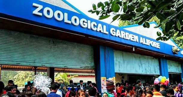 Alipore Zoo, Kolkata: Opening & Closing Timing, Ticket Price, How To Reach, Best Time to Visit