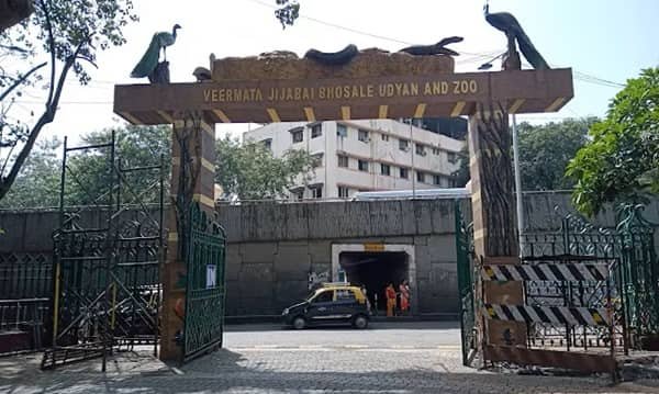 Byculla Zoo: Opening & Closing Timing, Ticket Price, How To Reach, Best Time to Visit
