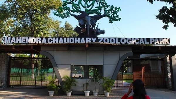 Chhatbir Zoo, Mohali