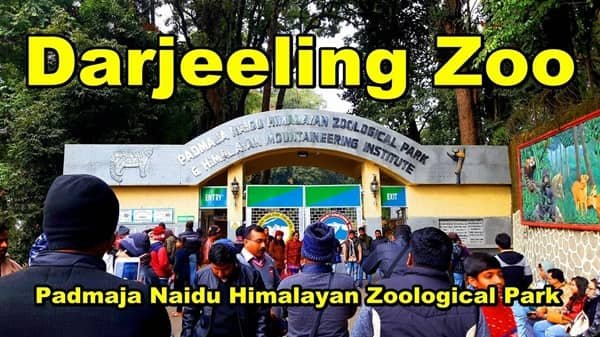 Darjeeling Zoo: Opening & Closing Timing, Ticket Price, How To Reach, Best Time to Visit