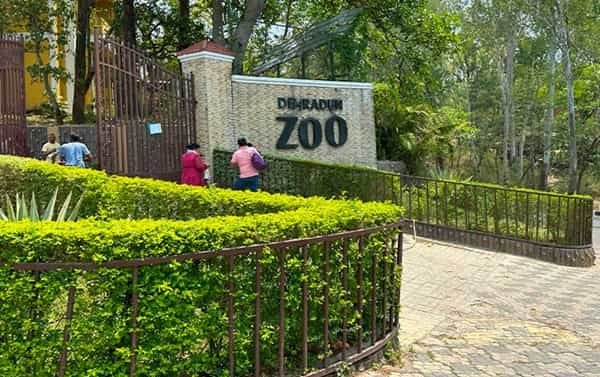 Dehradun Zoo: Opening & Closing Timing, Ticket Price, How To Reach, Best Time to Visit