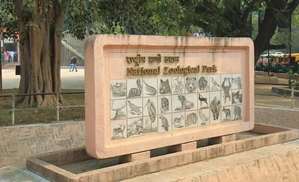 Delhi Zoo: Opening & Closing Timing, Ticket Price, How To Reach, Best Time to Visit