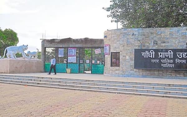 Gwalior Zoo: Opening & Closing Timing, Ticket Price, How To Reach, Best Time to Visit