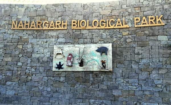 Jaipur Zoo: Opening & Closing Timing, Ticket Price, How To Reach, Best Time to Visit