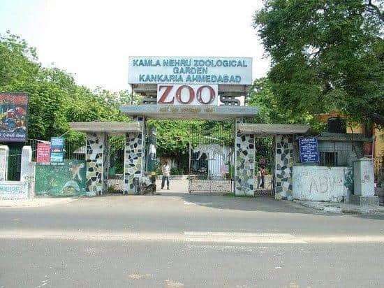 Kamla Nehru Zoo: Opening & Closing Timing, Ticket Price, How To Reach, Best Time to Visit