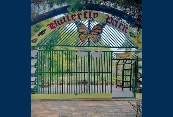 Kanpur Zoo: Opening & Closing Timing, Ticket Price, How To Reach, Best Time to Visit