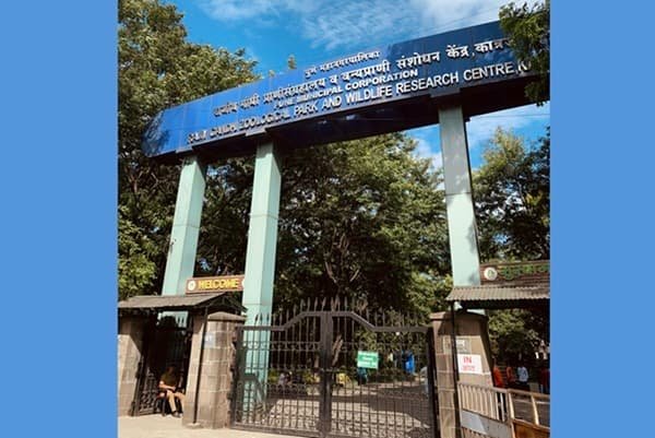 Katraj Zoo, Pune: Opening & Closing Timing, Ticket Price, How To Reach, Best Time to Visit