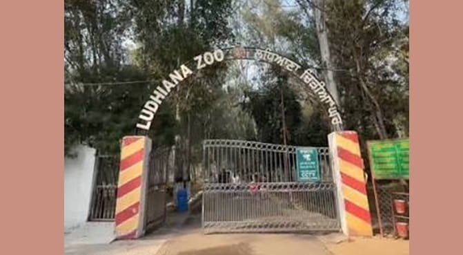 Ludhiana Zoo, Ludhiana: Opening & Closing Timing, Ticket Price, How To Reach, Best Time to Visit