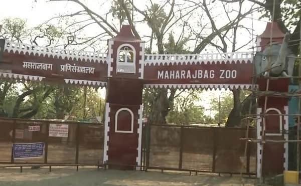 Maharajbagh Zoo, Nagpur: Opening & Closing Timing, Ticket Price, How To Reach, Best Time to Visit