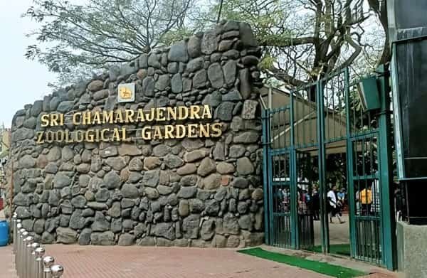 Mysore Zoo: Opening & Closing Timing, Ticket Price, How To Reach, Best Time to Visit