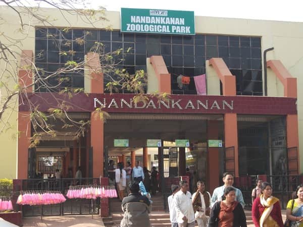 Nandankanan Zoo: Opening & Closing Timing, Ticket Price, How To Reach, Best Time to Visit
