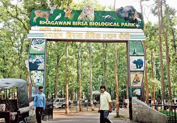 Ormanjhi Zoo, Ranchi
