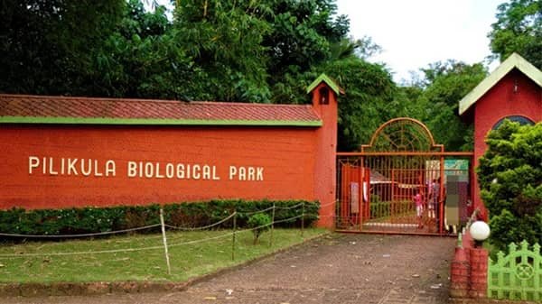 Pilikula Zoo: Opening & Closing Timing, Ticket Price, How To Reach, Best Time to Visit