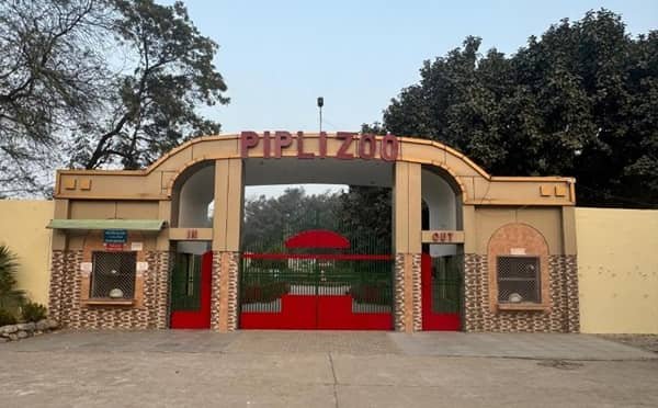 Pipli Mini Zoo: Opening & Closing Timing, Ticket Price, How To Reach, Best Time to Visit