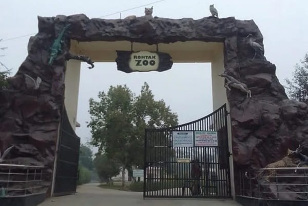 Rohtak Zoo: Opening & Closing Timing, Ticket Price, How To Reach, Best Time to Visit