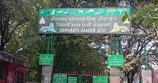 Siddharth Garden and Zoo, Chhatrapati Sambhajinagar