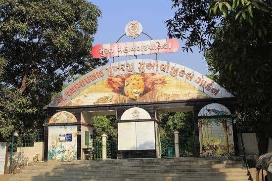 Surat Zoo (Sarthana Nature Park): Opening & Closing Timing, Ticket Price, How To Reach, Best Time to Visit