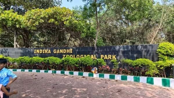 Vizag Zoo, Visakhapatnam