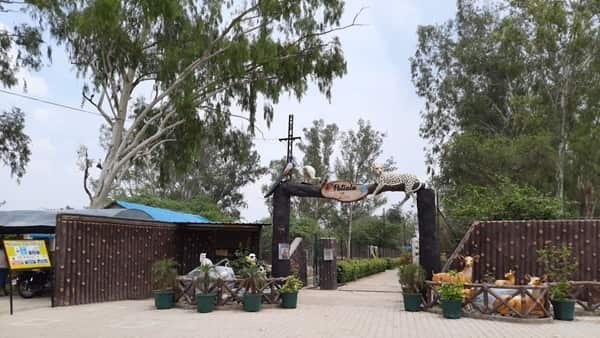 Patiala Zoo (Deer Park, Bir Moti Bagh): Opening & Closing Timing, Ticket Price, How To Reach, Best Time to Visit