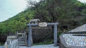 Sajjangarh Biological Park, Udaipur