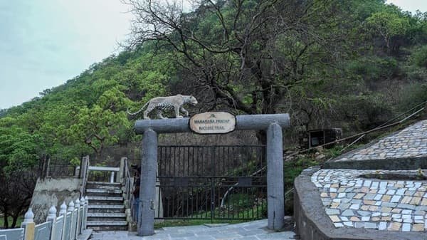 Sajjangarh Biological Park, Udaipur: Opening & Closing Timing, Ticket Price, How To Reach, Best Time to Visit